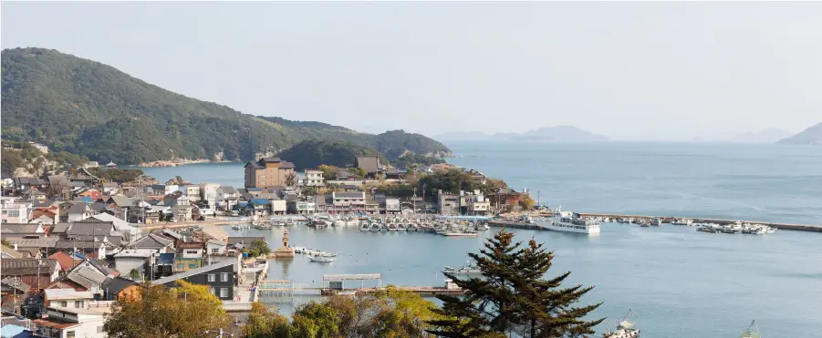 高台から一望する鞆の浦の港